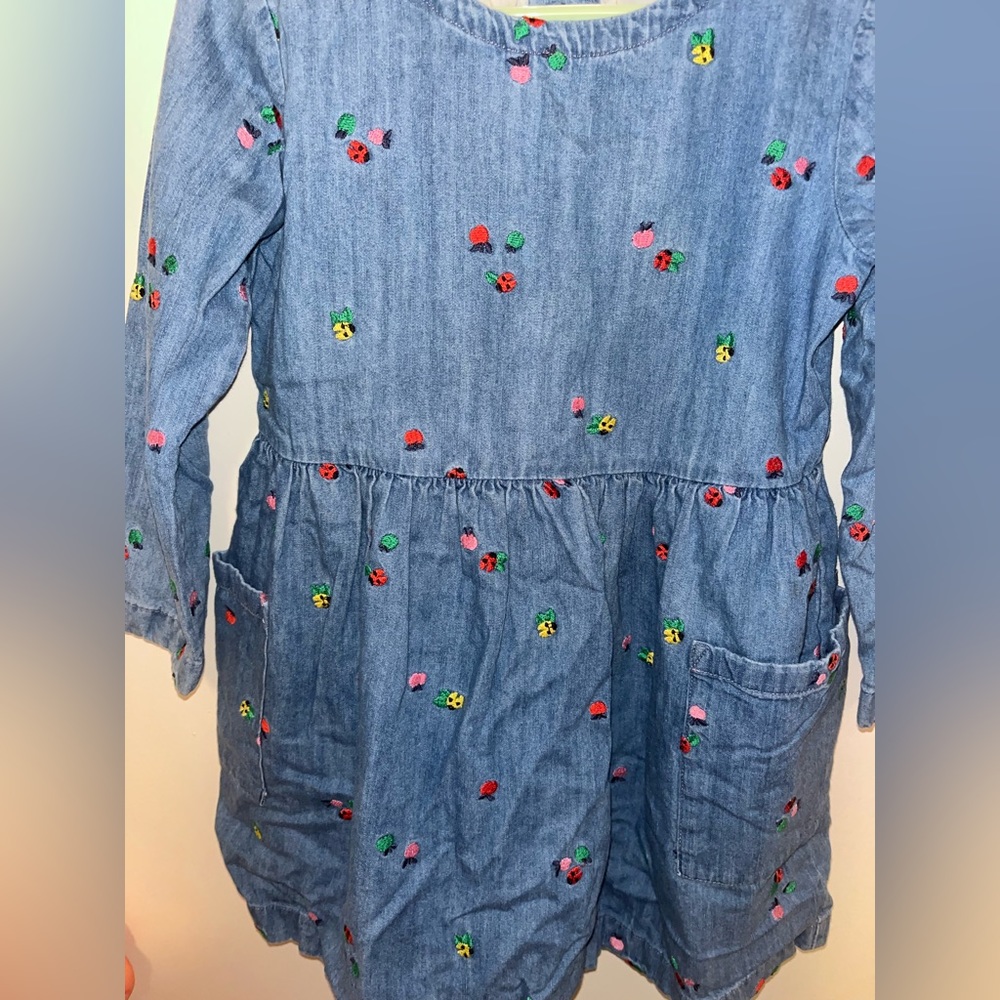 Hanna Anderson dress